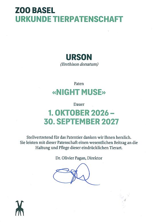 Sponsorship Certificate