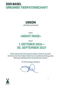 Sponsorship Certificate